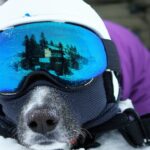 XRP KRW Price | Live Ripple to Korean Won Exchange Rate & Chart