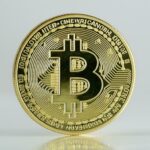 Kishu Inu Coin: Price, Benefits, and How to Buy Guide