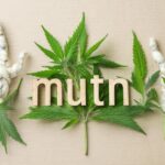 Bitconnect Price | Live BCC Value, Chart & Market Cap