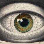 XEP: Comprehensive Guide, Features, and Benefits Explained