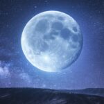 Tonic Crypto: Features, Benefits, and How It Works Explained