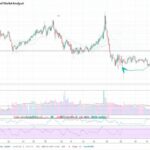 Kiba Inu: Breed Information, Temperament, and Care Guide