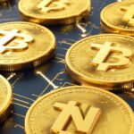 bnbtiger: Trusted Platform for Safe and Easy Property Rentals