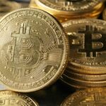 UNCL: Ultimate Guide to the Brand’s Style, Quality, and Trends