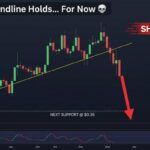 XRP Price Trendline Holds Strong, but a Sharp Drop May Follow